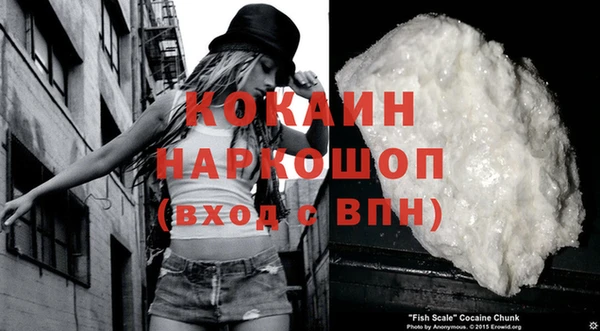 стаф Балахна