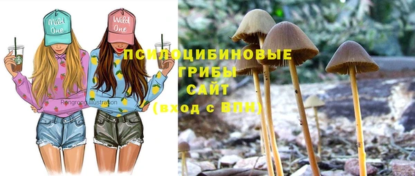хмурый Баксан