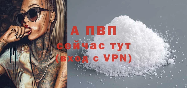 стаф Балахна